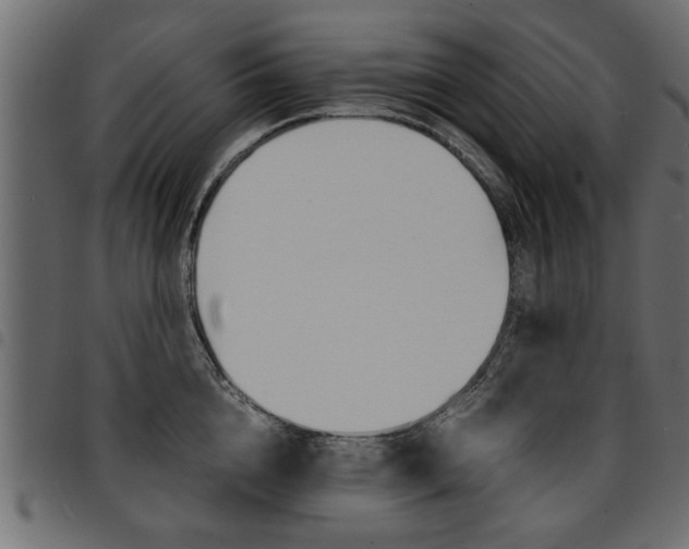 X0000094910856200711290958