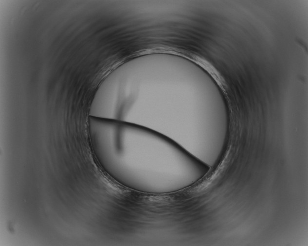 X0000094910857200711290958
