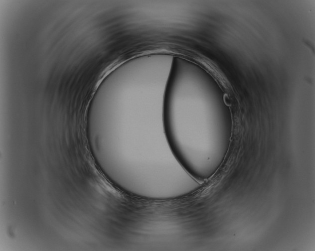 X0000094910858200711290958