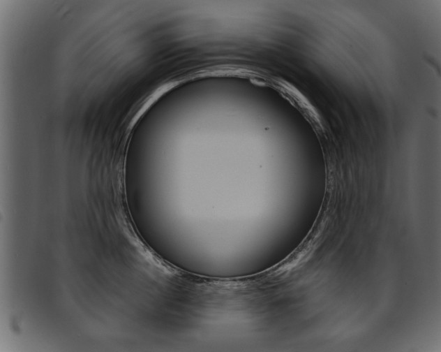 X0000094910860200711290958