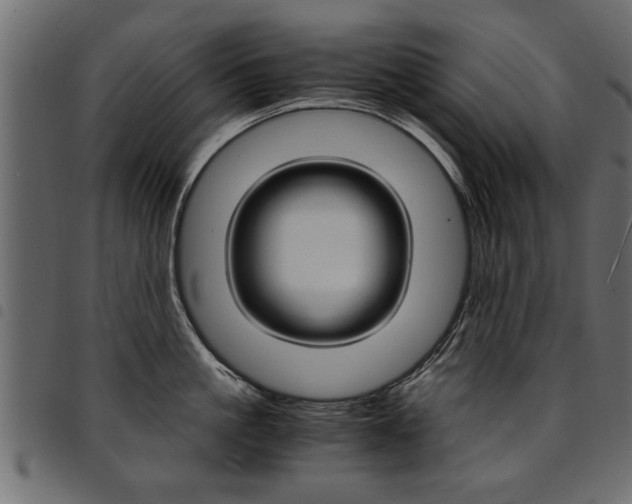 X0000094910861200711290958