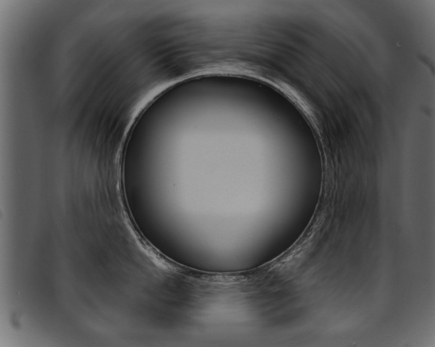 X0000094910862200711290958