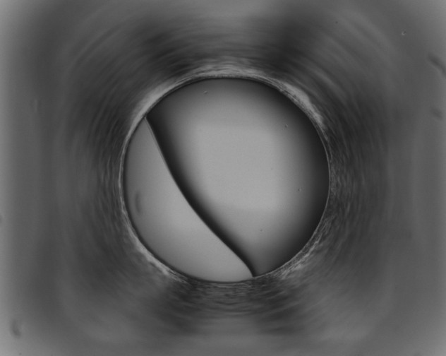 X0000094910863200711290958