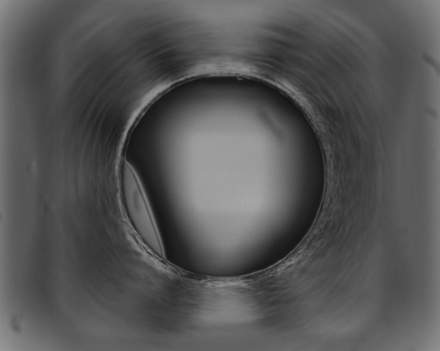 X0000094910864200711290958