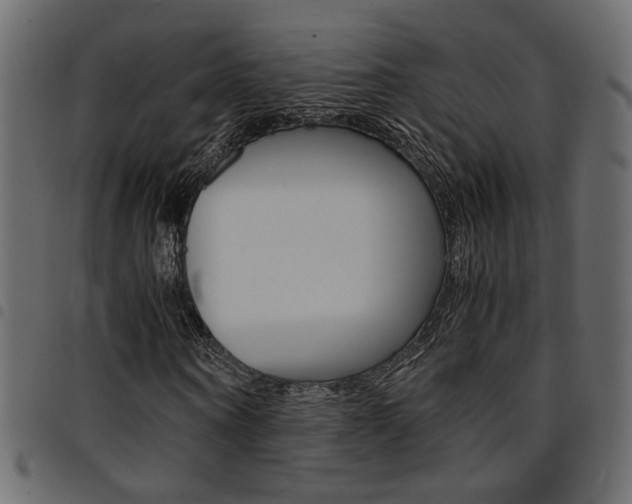 X0000094910866200711290958