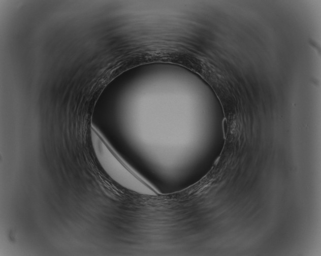X0000094910868200711290958