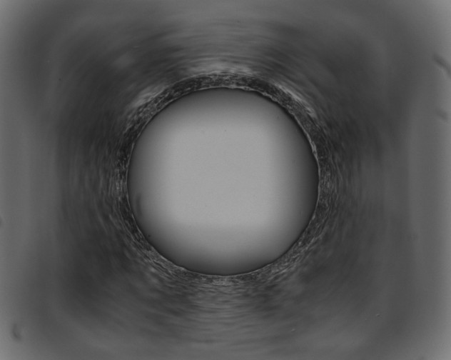 X0000094910869200711290958