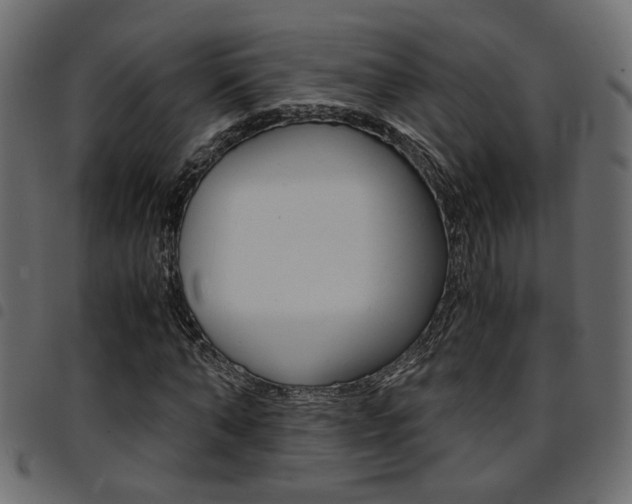 X0000094910870200711290958