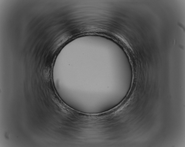 X0000094910873200711290957
