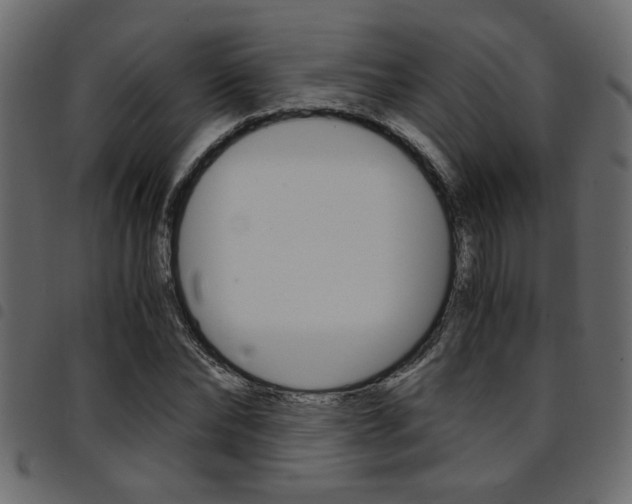 X0000094910878200711290957