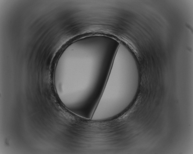 X0000094910880200711290957