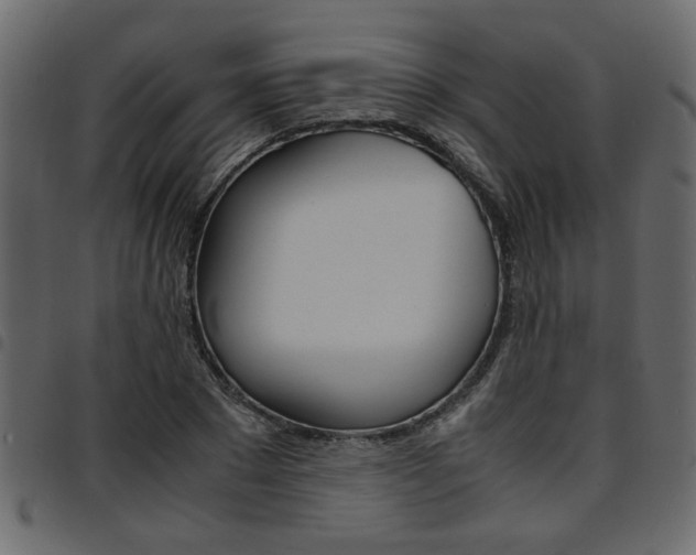 X0000094910881200711290957