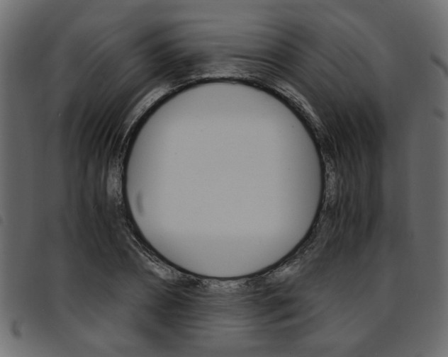 X0000094910882200711290957