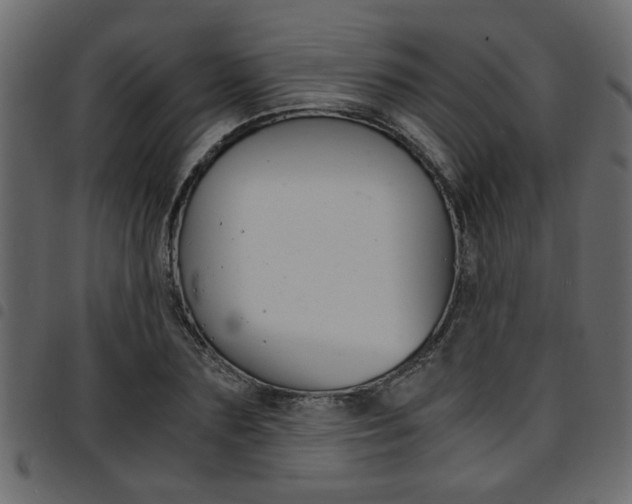 X0000094910883200711290957