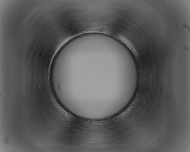 X0000094910884200711290957