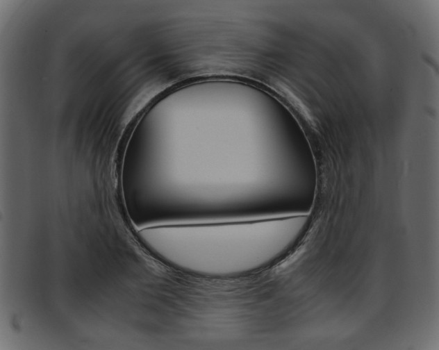 X0000094910885200711290957
