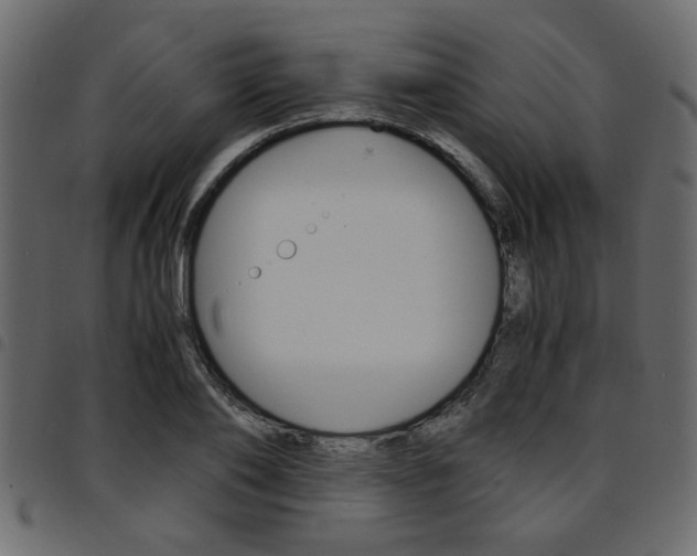 X0000094910886200711290957