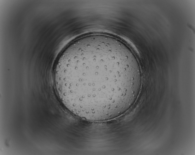 X0000094910887200711290957