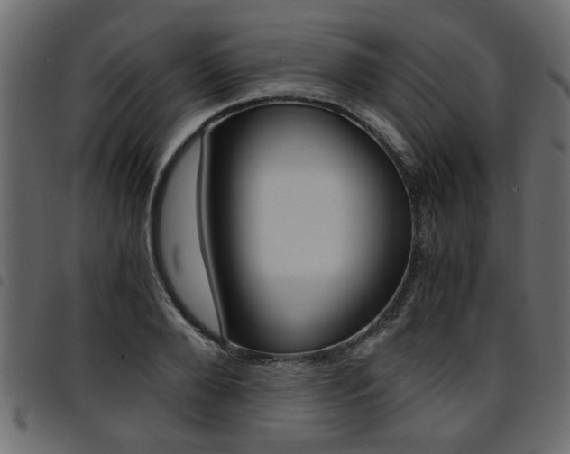 X0000094910888200711290957