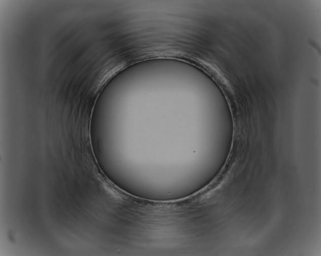 X0000094910889200711290957
