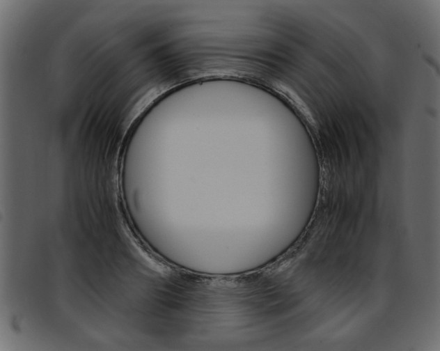 X0000094910890200711290957