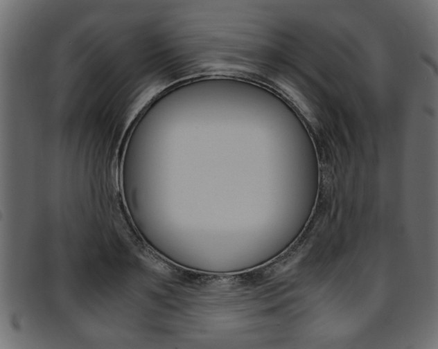 X0000094910891200711290957