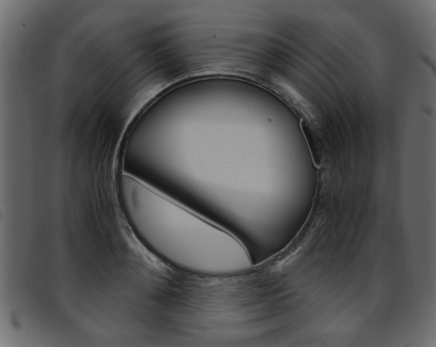 X0000094910892200711290957