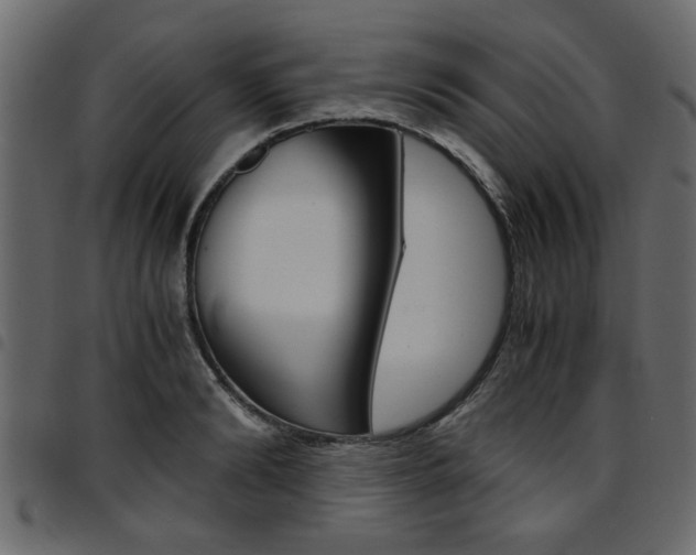 X0000094910894200711290957
