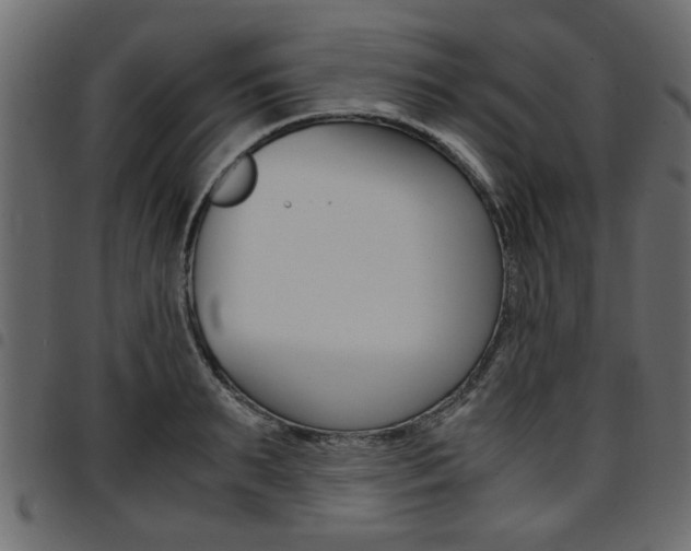 X0000094910895200711290957