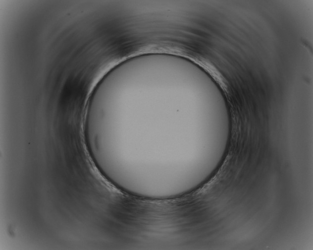 X0000094910896200711290957