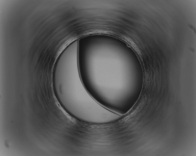 X0000094910898200711290957