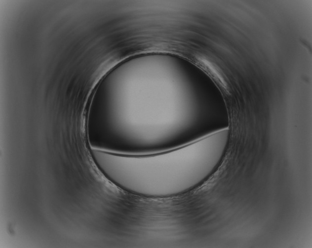 X0000094910900200711290957