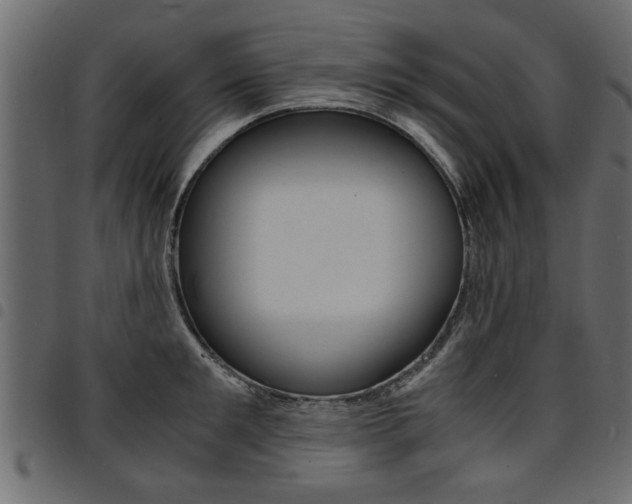 X0000094910901200711290957