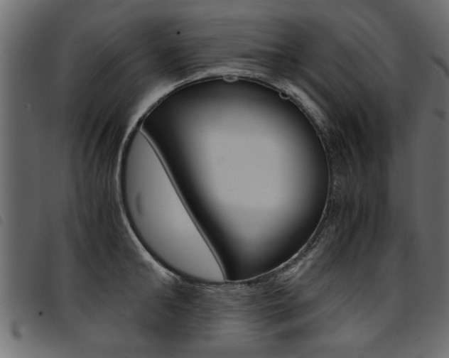 X0000094910902200711290957