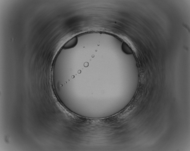 X0000094910903200711290957