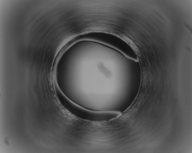 X0000094910904200711290957