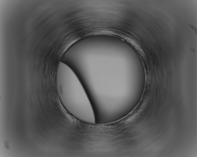 X0000094910905200711290957