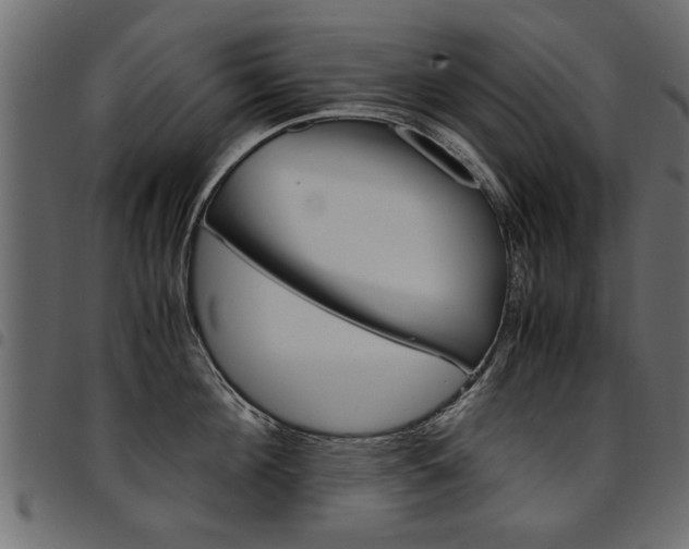 X0000094910908200711290957