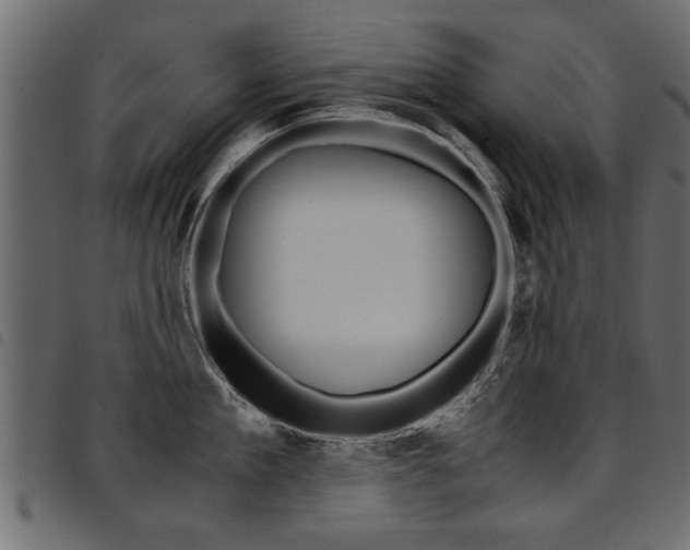 X0000094910909200711290957