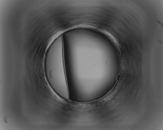 X0000094910910200711290957