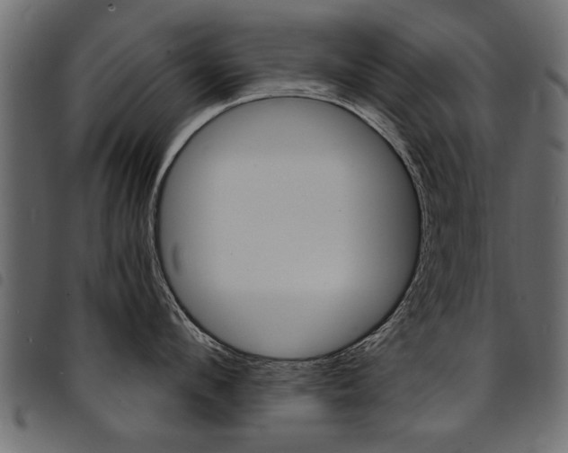 X0000094910912200711290957