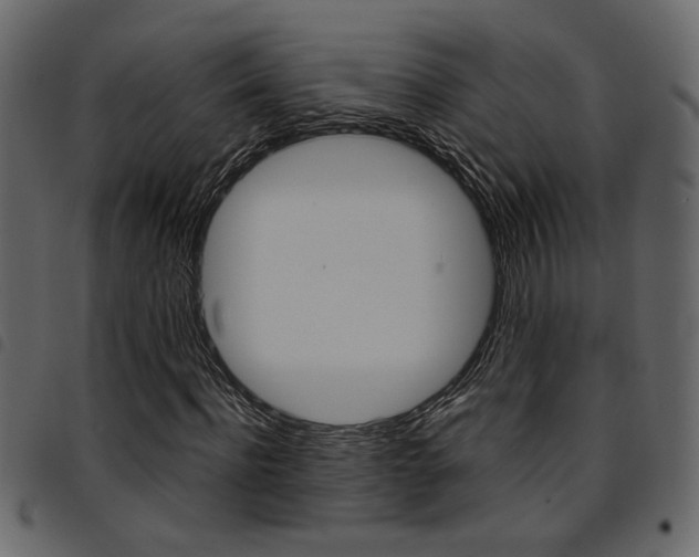 X0000094910916200711290956