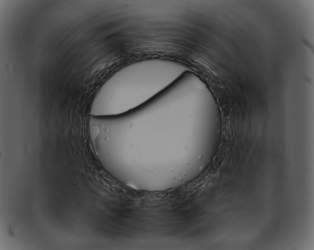 X0000094910917200711290956