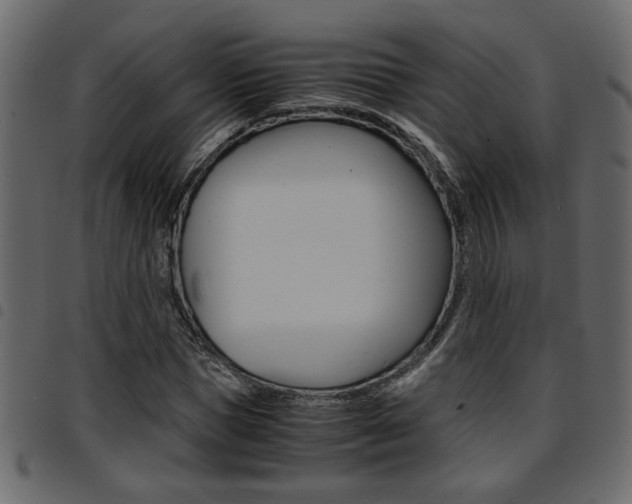 X0000094910921200711290956