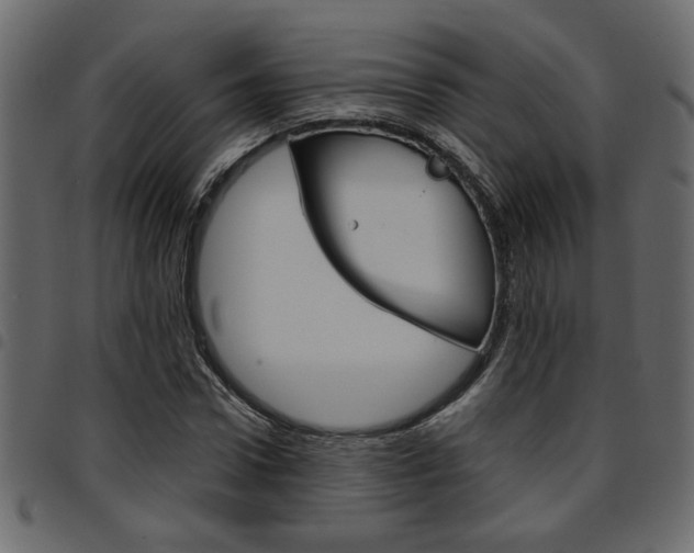 X0000094910922200711290956