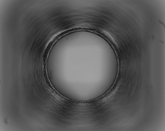 X0000094910923200711290956