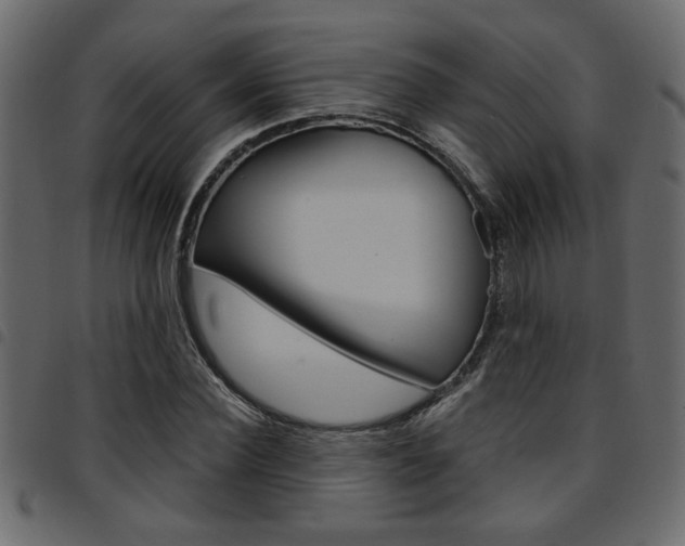 X0000094910924200711290956
