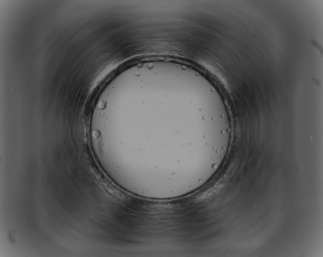 X0000094910925200711290956
