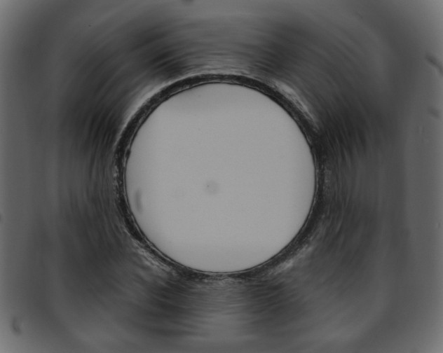 X0000094910926200711290956