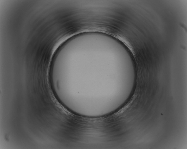 X0000094910928200711290957